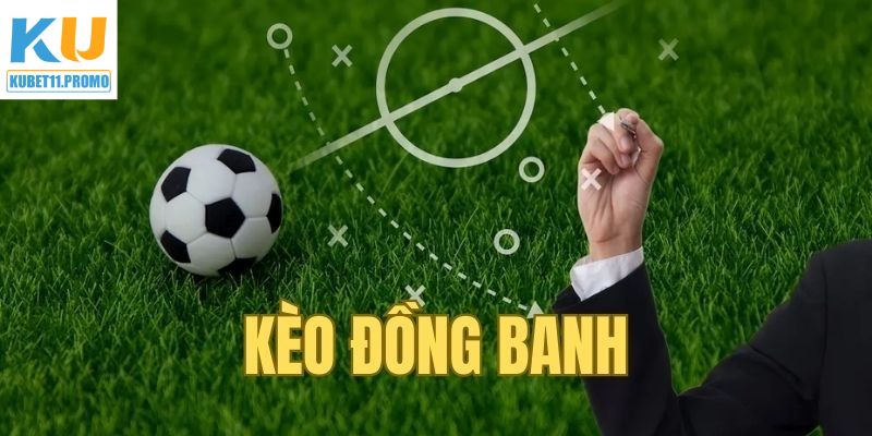 Đọc kèo cá cược đồng banh cực chuẩn xác