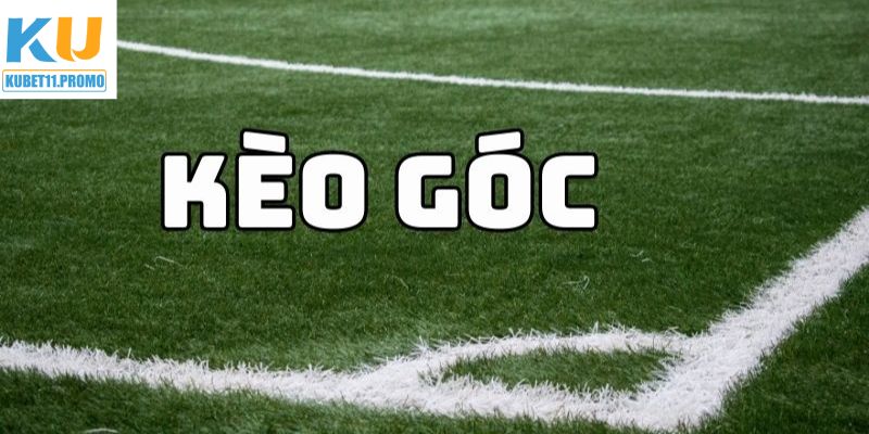 Bí kíp đỉnh cao bất bại khi thành viên tham gia cá cược