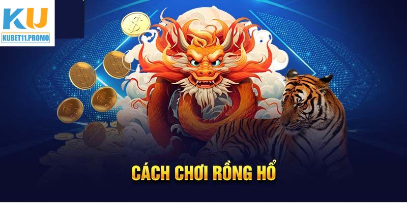 Cách tham gia Rồng Hổ cơ bản cần biết